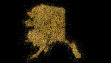 Alaska shaped from golden glitter on a black background (series)