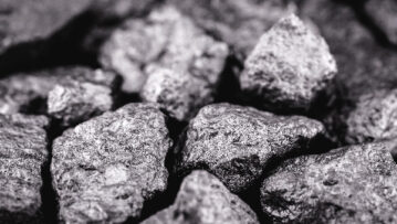 FXG-newsletter-image-19.07.23-min