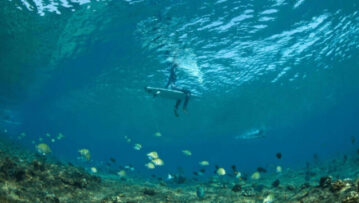 2023-08-11-FXG1-640x360