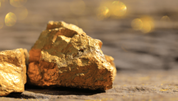 FXG-Newsletter-Image-09.08.23-min