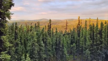 Felix-Gold-ASX-FXG-exploration-Treasure-Creek-NW-Array-Target-Alaska