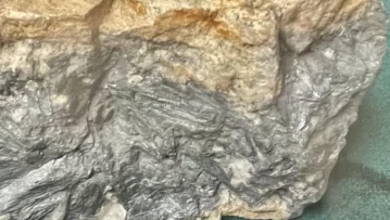 Felix-Gold-ASX-FXG-antimony-assays-drilling-Treasure-Creek-Alaska