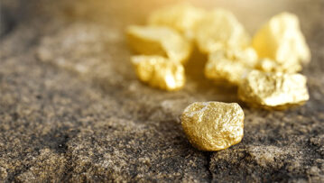 FXG-newsletter-image-11.10.23-min-2048x1365