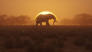 Lonely elephant walking at sunset. 3D generated image.